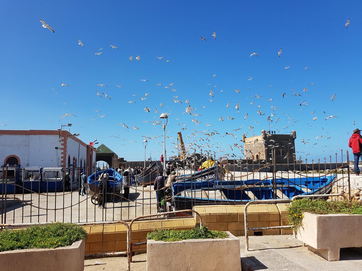 Riad Sidi Magdoul Essaouira Eksteriør billede