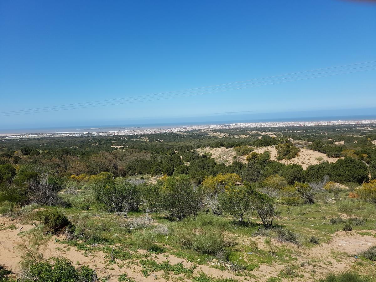 Riad Sidi Magdoul Essaouira Eksteriør billede
