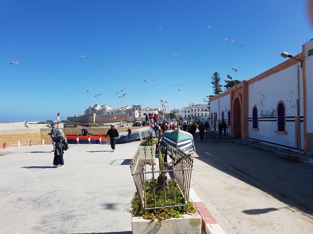 Riad Sidi Magdoul Essaouira Eksteriør billede