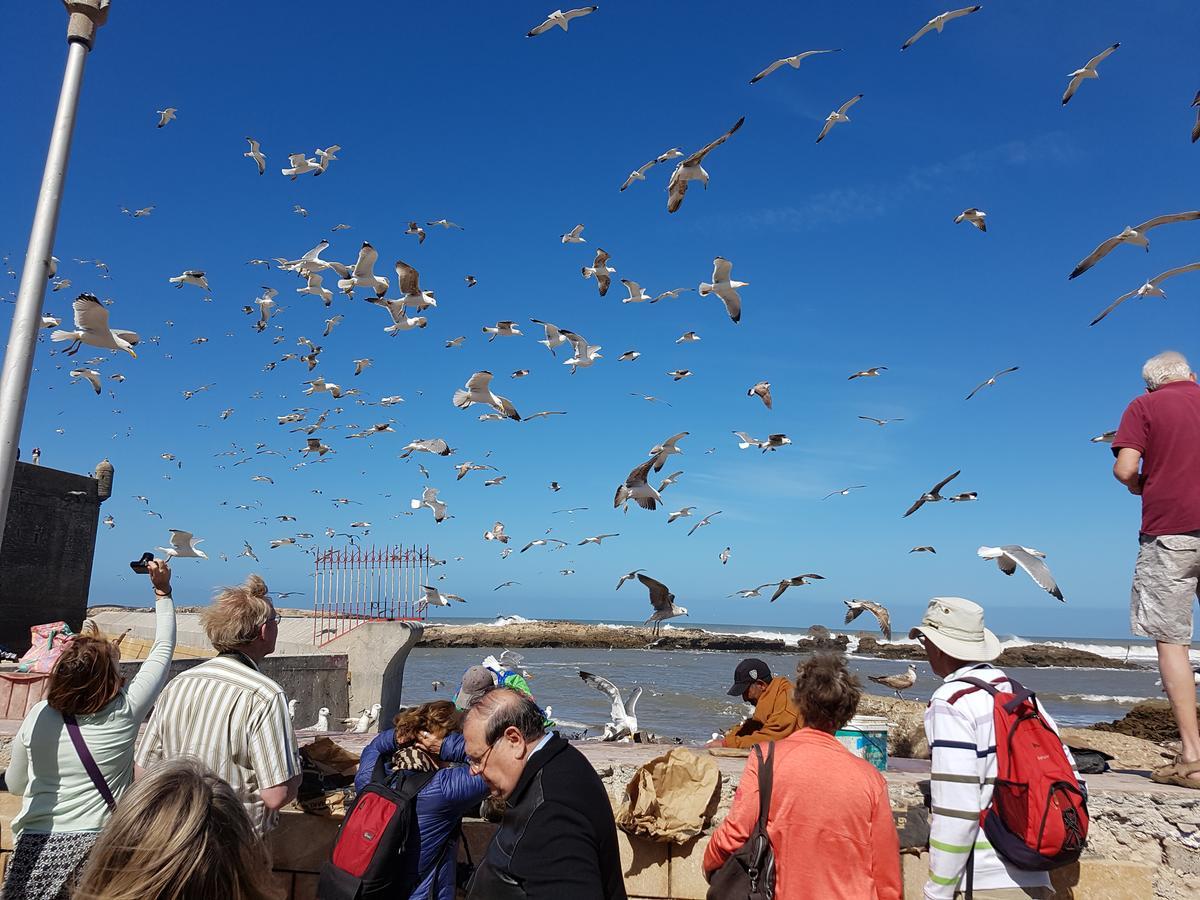Riad Sidi Magdoul Essaouira Eksteriør billede